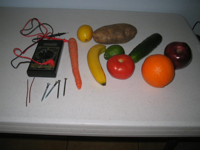 Fruit and Vegetable Battery Science Project